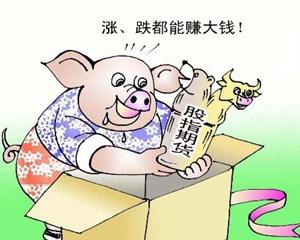 如何选择低息的股票配资平台？